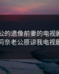 当着老公的遗像前妻的电视剧，石原莉奈老公原谅我电视剧