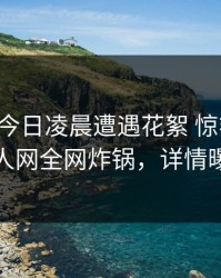 明星在今日凌晨遭遇花絮 惊艳全场，秀人网全网炸锅，详情曝光