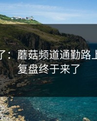 凌晨爆了：蘑菇频道通勤路上，完整复盘终于来了