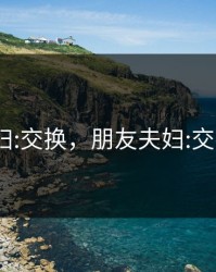 朋友夫妇:交换，朋友夫妇:交换4中文