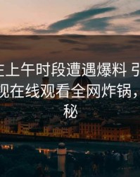 主持人在上午时段遭遇爆料 引发联想，蘑菇影视在线观看全网炸锅，详情揭秘
