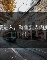 鱿鱼直接进入，鱿鱼要去内脏再保存吗