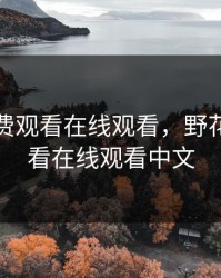 野花免费观看在线观看，野花免费观看在线观看中文