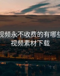 成品人视频永不收费的有哪些，成品视频素材下载