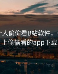 晚上一个人偷偷看B站软件，一个人晚上偷偷看的app下载