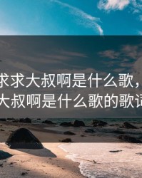 大叔啊求求大叔啊是什么歌，大叔啊求求大叔啊是什么歌的歌词歌名