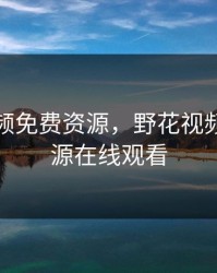 野花视频免费资源，野花视频免费资源在线观看