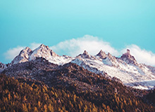 污污污的网站下载在线，污污污的网站下载在线播放