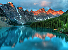 芭乐视频幸福宝小猪视频，幸福宝芭乐小猪丝瓜草莓下载